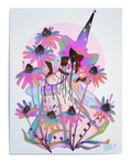 Echinacea / Coneflower
