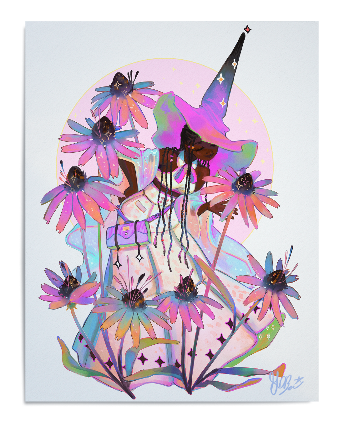 Echinacea / Coneflower